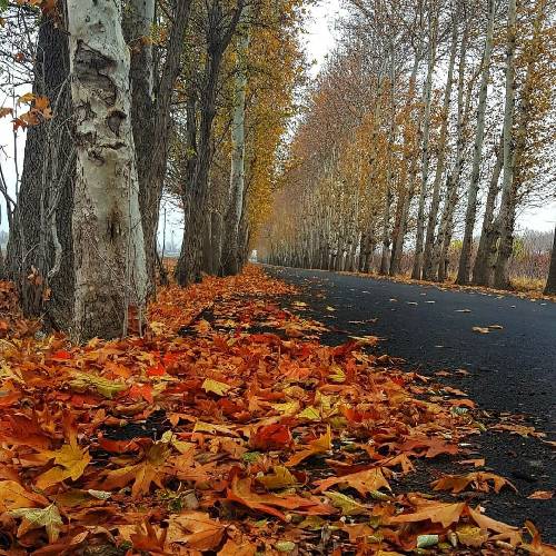 رامین نبی پور یه شب که توی خواب بودم از این عالم جدا بودم